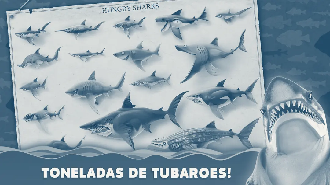 Quadro Hungry Sharks pregado com cerca de vinte tubarões desenhados, entre eles um tubarão-martelo e um tubarão-baleia